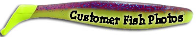 Customer Fish Photos