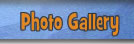 Photo Gallery Page
