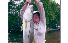 snook fishing